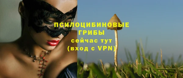 Альфа ПВП Волоколамск