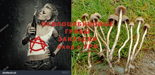 Альфа ПВП Волоколамск