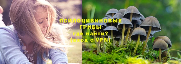 Альфа ПВП Волоколамск